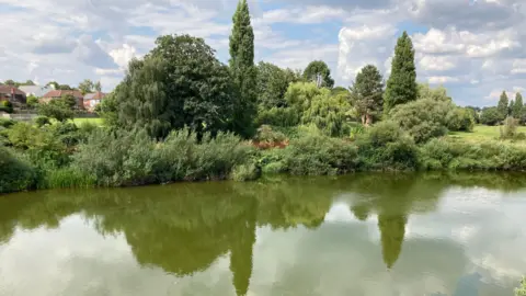 A green River Wye at Ross on Wye. The water is green and discoloured due to pollution from algae. 