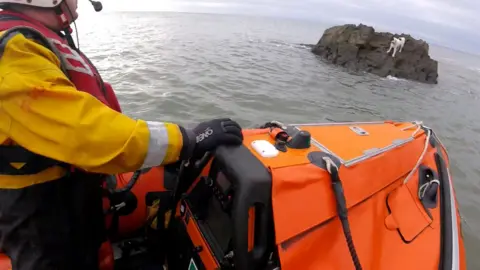 RNLI lifeboat and dog