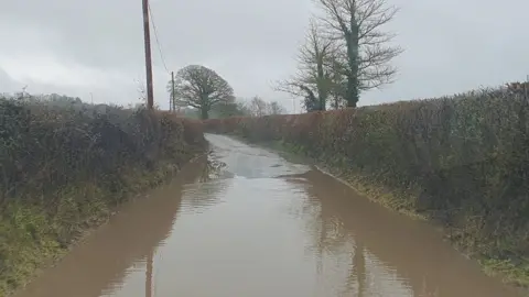 Dorset schools closed and travel disrupted due to rain