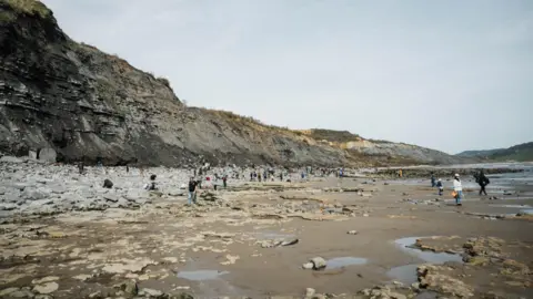 Lyme Regis Museum Crowds of people searching the beach along the Jurassic Coast.