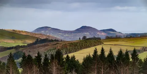 Robin Gladstone A landscape of gently rolling green and brown hills, with a line of evergreen trees in the foreground and several rounded, purple‑hued hills rising in the distance under a cloudy sky.