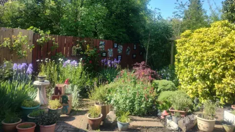 Rainbow Community Garden Hull A public garden with several plant pots dotted about, as well as bushes and purple plants. A brown fence has photos attached to it with trees behind it.