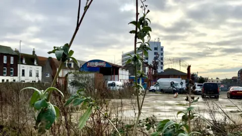 Weeds growing along the edge of what appears to be a car park. Homes and a car garage are in the background.