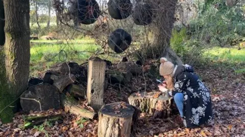 A woman using a microscope looking at leaves on a log 