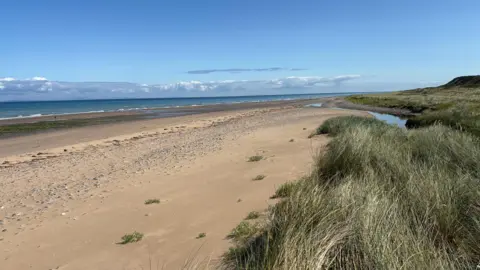 David Bellamy - MWT A stretch of beach leading towards the light blue sea. On the right of the shot are long grasses. 