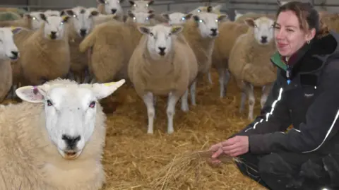 Suffolk New Colllege Enya in a black coat with white piping on the sleeves crouches down in the straw surrounded by sheep who are all staring at the camera