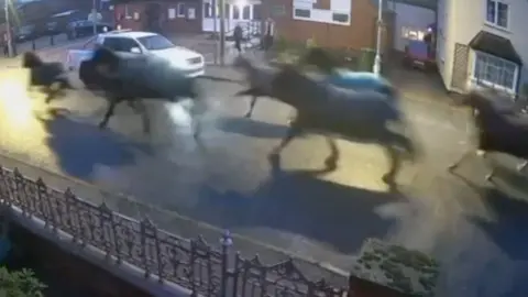 Horses running through street