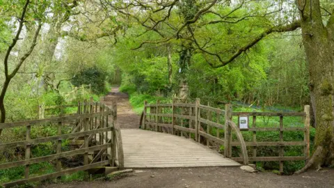 Getty Images A wooden footbridge with railings crossing a small stream in Ashdown Forest is surrounded by green trees and a woodland path leading away into the distance.