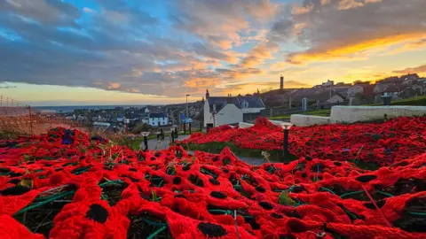 Michael Diamond The poppy display during sunset