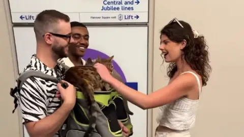 TfL A screenshot from the video, showing a brown-haired woman standing next to two men, who both have cat carriers on their front with cats sat on top. The woman is stroking one of the cats.