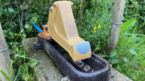 Ellen Knight/BBC The pasture pump - a metal structure consisting of a yellow-painted pump that sits over a dark metal trough. The paint on the end of the pump is worn away from use by the cows. It's seated on a large concrete block and is surrounded by grass and shrubbery. 