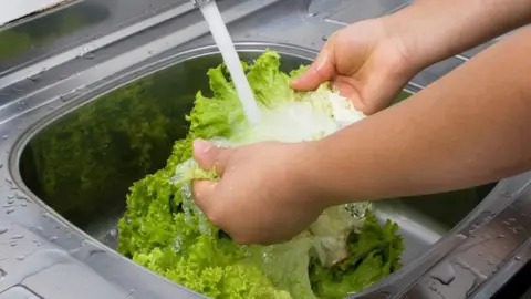 A person washing lettuce under running water.