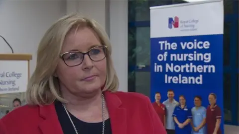 RCN Director Pat Cullen said members were very concerned that they are not getting access to proper PPE