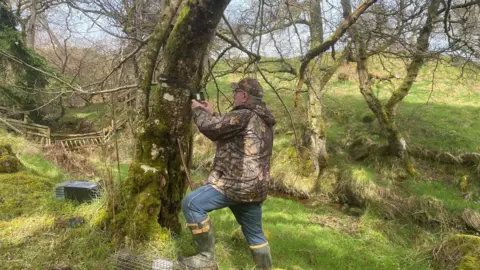 Ian Glendinning, wearing a camouflage jacket is checking a camera on a tree. Behind the tree there is a trap on the ground 