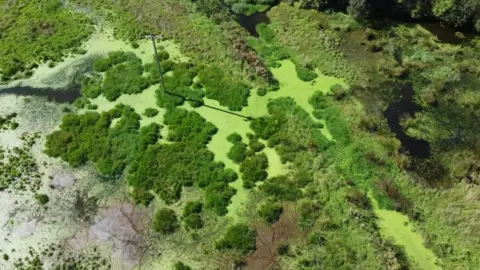 BBC A photo of the dams