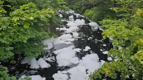 Sam Pedder Large white bubbles floating along a narrow meandering section of the River Tame on Monday morning. 