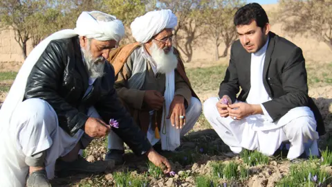 Rumi Spice Rumi Spice co-founder Keith Alaniz discusses with Afghan crocus farmers