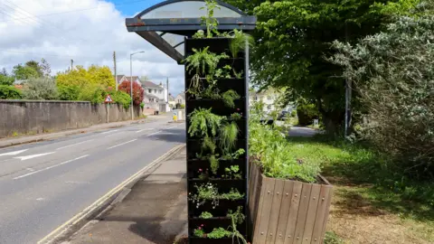 Eden Project Planter at bus stop