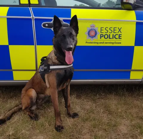 Essex Police Baloo