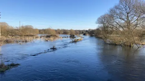 BBC Water covering large swathes of countryside, with trees and occasional clumps of grass sticking out
