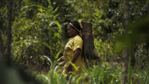 AFP A native from the Piaroa ethnic group goes into the forest to collect wood on the outskirts of Puerto Ayacucho, in Venezuela