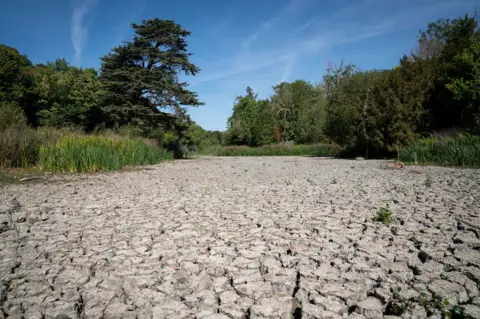 PA Media A dried up lake in Wanstead Park, north east London