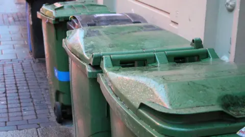 BBC Generic wheelie bins