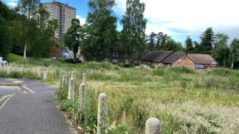 An area with grass and wild plants runs parallel to a road. Bollards fence off the green space. Houses can be seen in the background while in the far distance is a tower block. Tall trees edge the green space and cars are parked nearby.