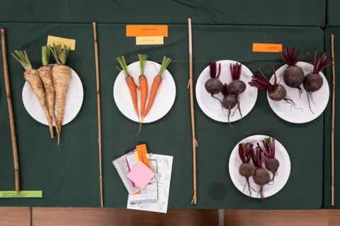 Jim Grover Vegetables neatly laid on plates