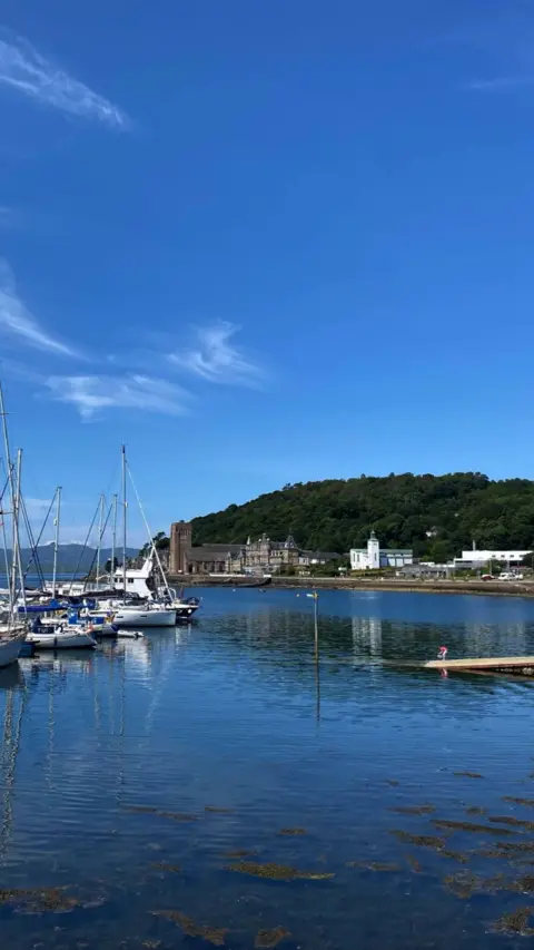 A sunny harbour in Scotland