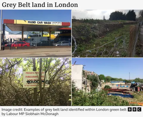 A graphic showing 4  images of the grey loop  successful  London. They were taken by Labour MP Siobhain McDonagh. 