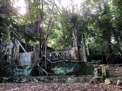 Alice Png Ruins in a forest