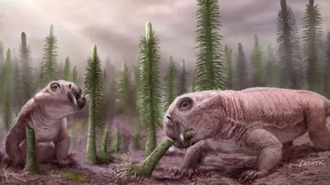 Lystrosaurus, an early relative of mammals whose fossils are known from Russia, China, India, Africa and Antarctica