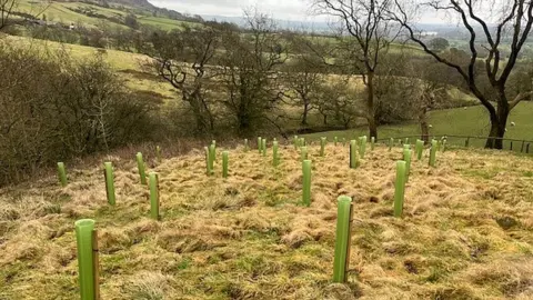 Tree planting in the fringes of the Peak District National Park