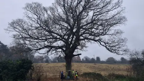 Save the Shrewsbury 9 One of the trees