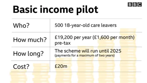 Basic income pilot summary graphic