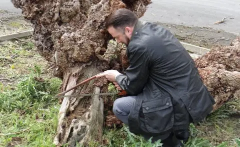HMP Wakefield Cutting the old mulberry tree