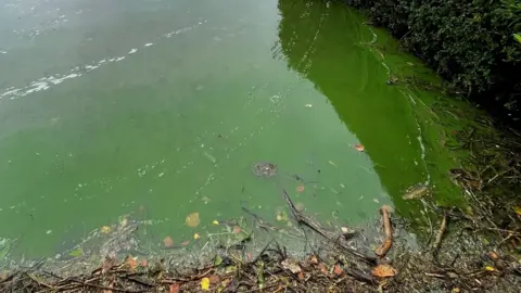 Matt Staniek Polluted water in Windermere