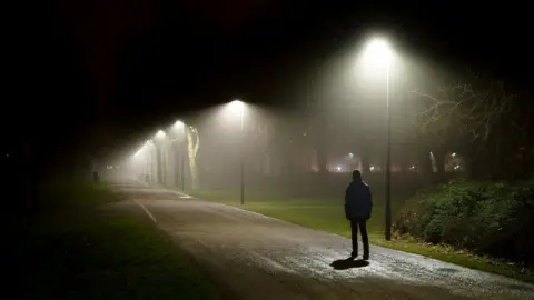 Getty Images A silhouette of a person under a street lamp in a park
