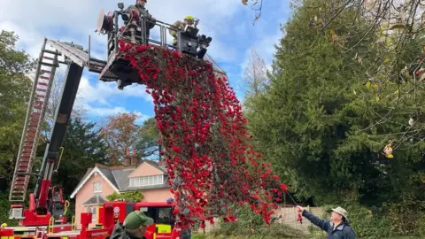 A camouflage net covered in crocheted poppies