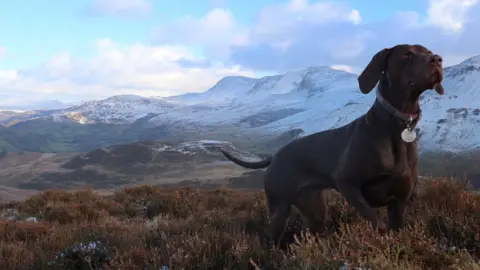 Gemma Trawford Connie the puppy in front of Cadair Idris