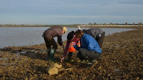 CITiZAN: Coastal and Intertidal Zone Archaeologica Mammoth tusk found on Mersea