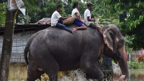 Getty Images An elephant wades through flood waters with three people on its back in Koliabor, India.