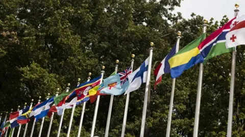 Flags outside the United Nations in New York