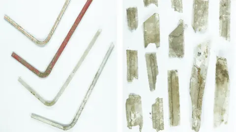 University of Liverpool Plastic drinking straws and wrapper fragments found at the Castell Henllys site