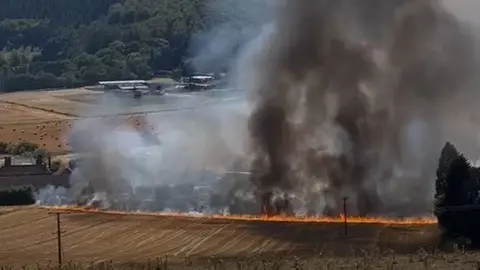 Hal Dyson Field fire