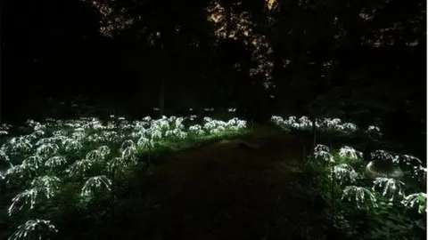 Bruce Munro Bruce Munro