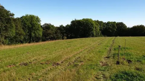 Sheffield Fruit Trees A field