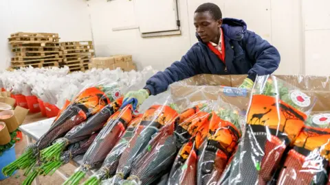 Jeroen van Loon Packing flowers