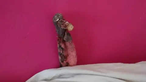 RSPCA The dirty sock